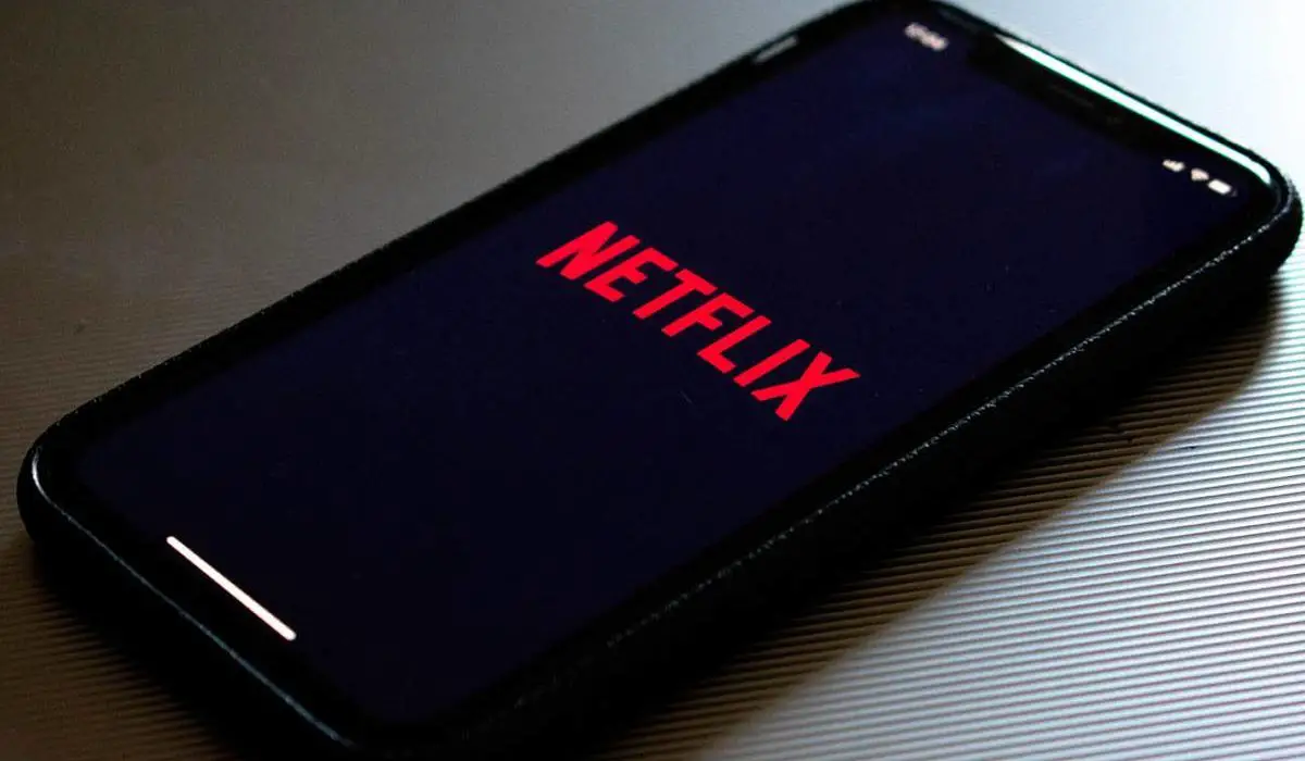 Netflix Update Brings New Features