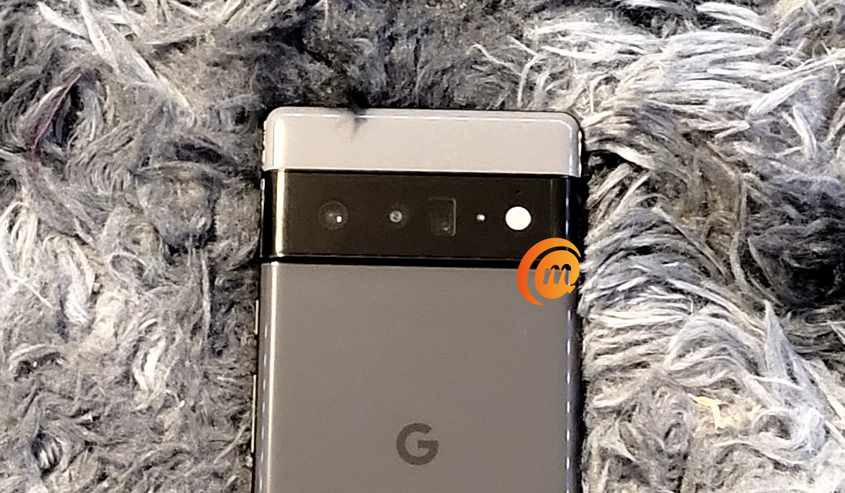 Google Pixel 6 Pro rear camera