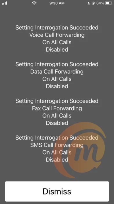 *#21# setting interrogation results for iPhone