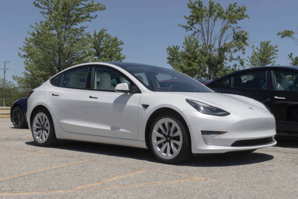 Model 3